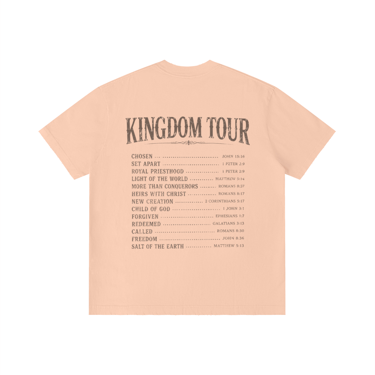 Kadosh Collective World Tour Unisex Vintage Wash Distressed T-Shirt